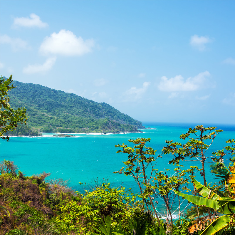 Panama Pacific coastline